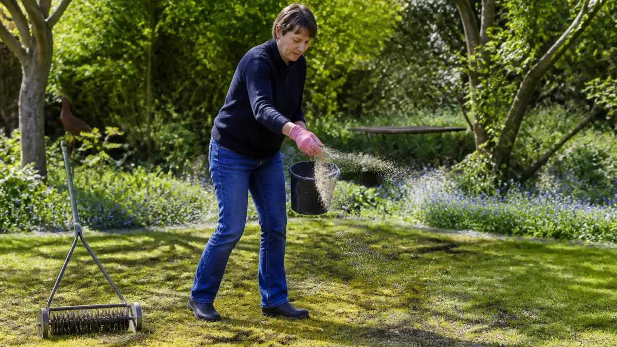 Mousse dans la pelouse : le remède naturel qui fonctionne vraiment