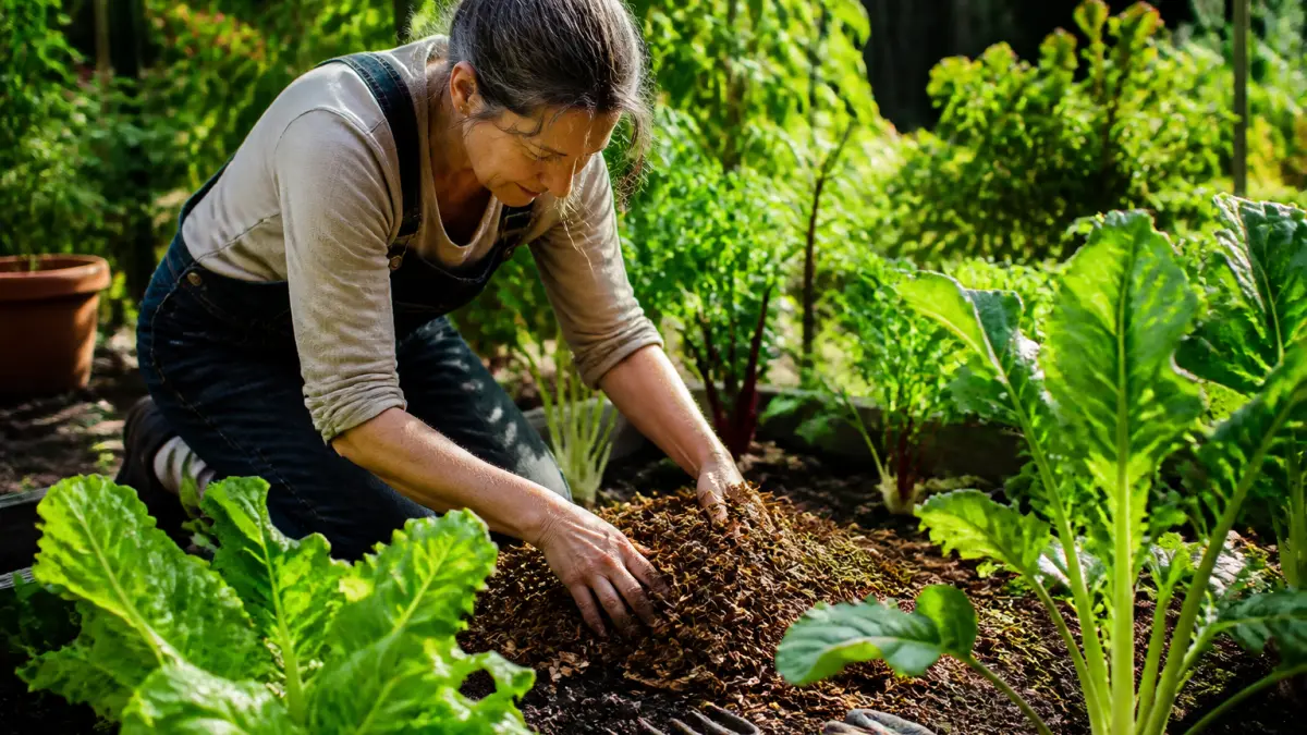 Paillage au jardin : lequel choisir selon vos plantes et votre sol ?