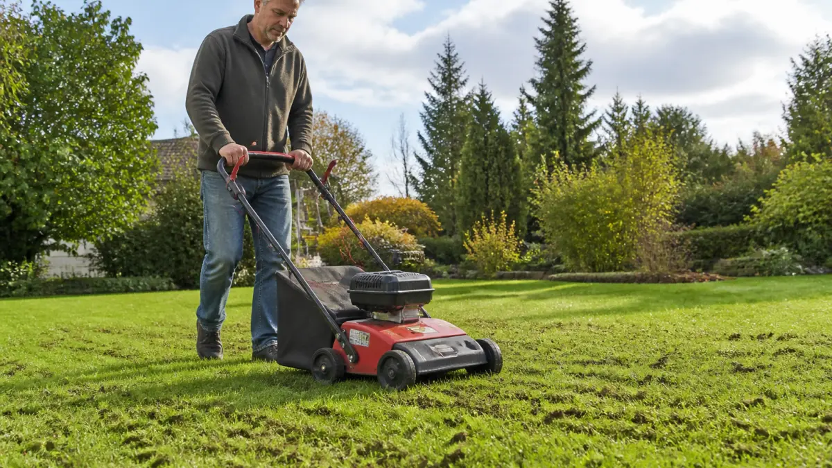 Quand scarifier une pelouse : saison, météo et hauteur idéale