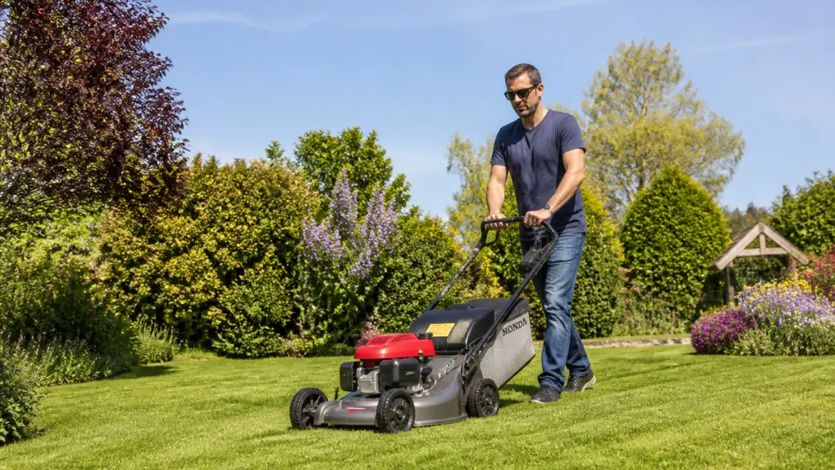 Tondre en mulching : quand le faire et quand ramasser l’herbe ?