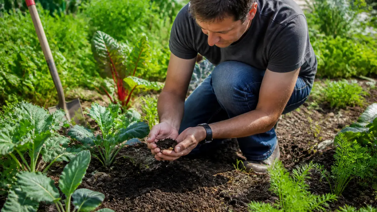 Terreau potager : comment choisir un sol fertile pour les légumes ?