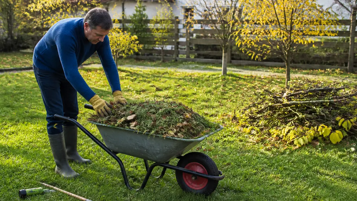 Déchets verts : que faire de l’herbe coupée, des branches et des feuilles ?