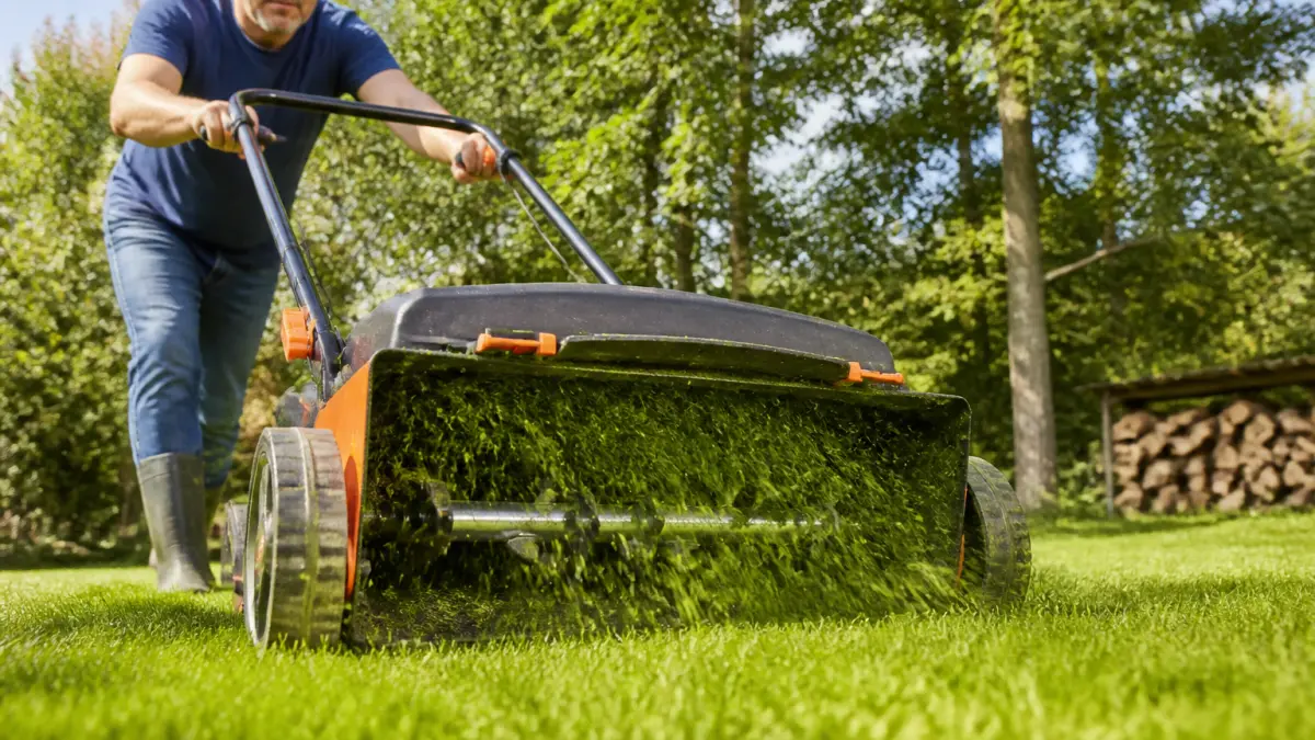 Mulching tondeuse : principe, avantages et erreurs à éviter