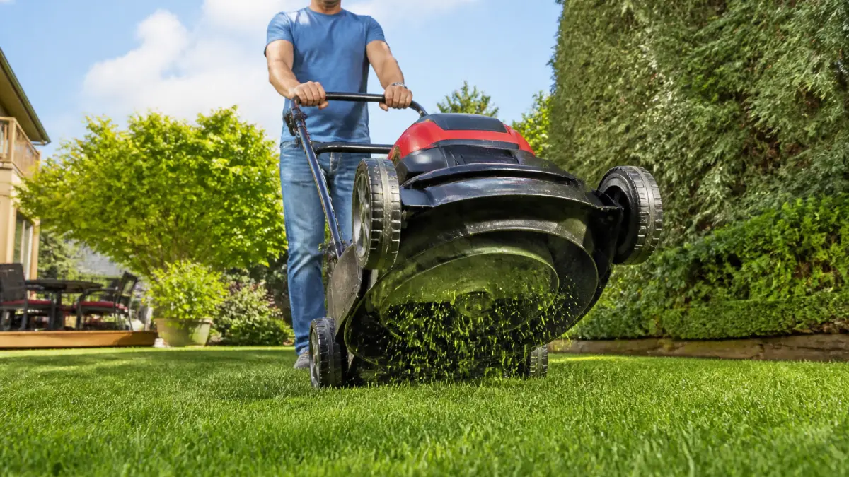 Mulching tondeuse : principe, avantages et erreurs à éviter