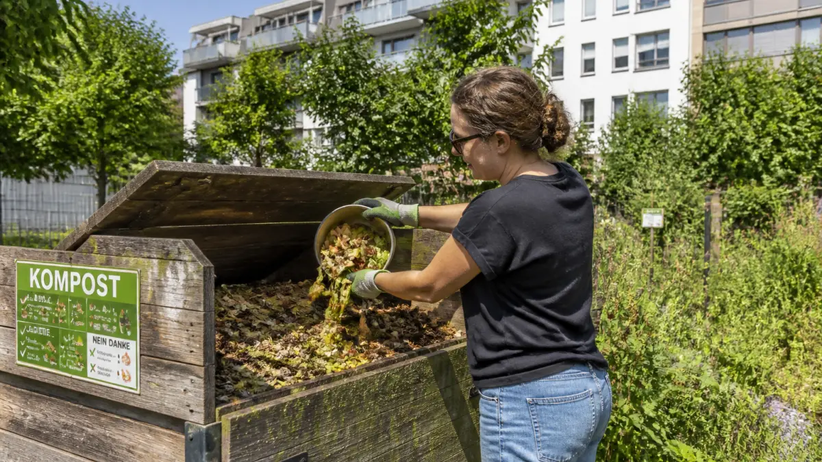 Compostage collectif : fonctionnement, règles et bonnes pratiques