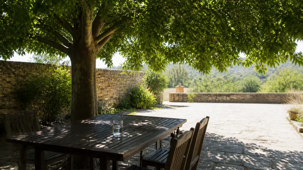 5 arbres qui climatiseront votre jardin