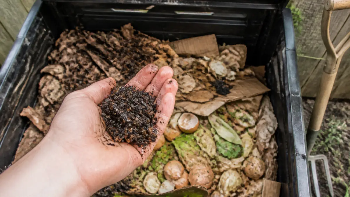 Compost qui sent mauvais : causes et solutions rapides