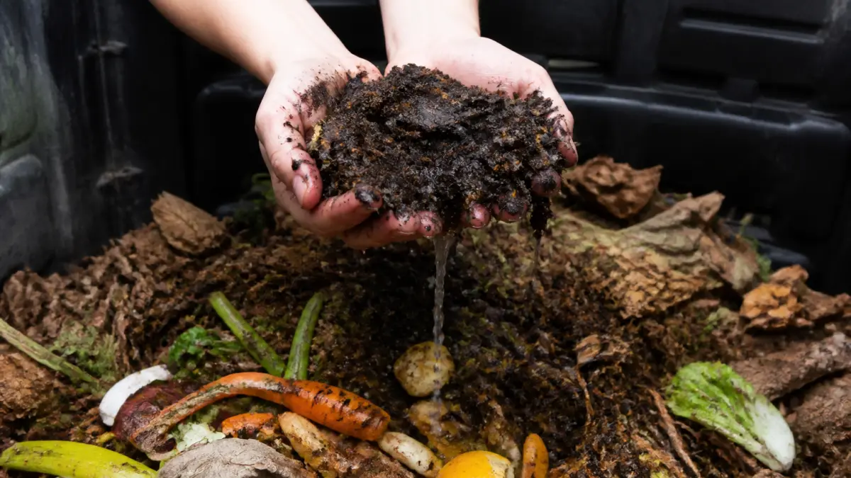 Compost qui sent mauvais : causes et solutions rapides