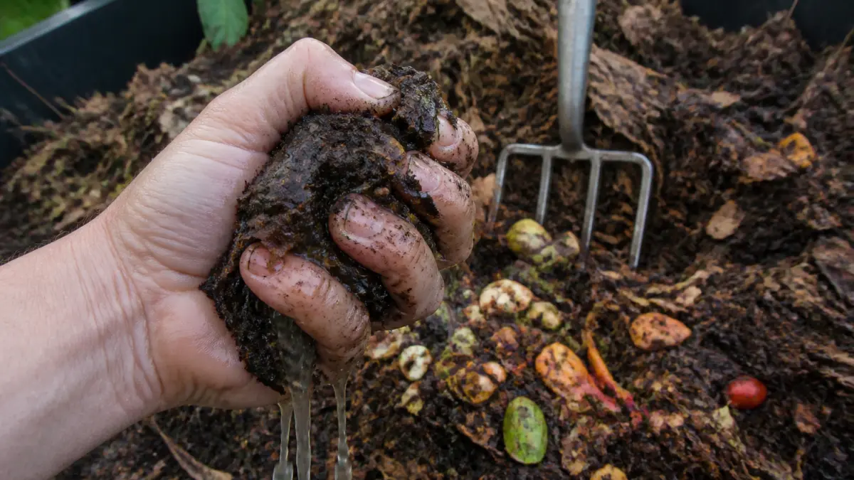 Compost qui sent mauvais : causes et solutions rapides