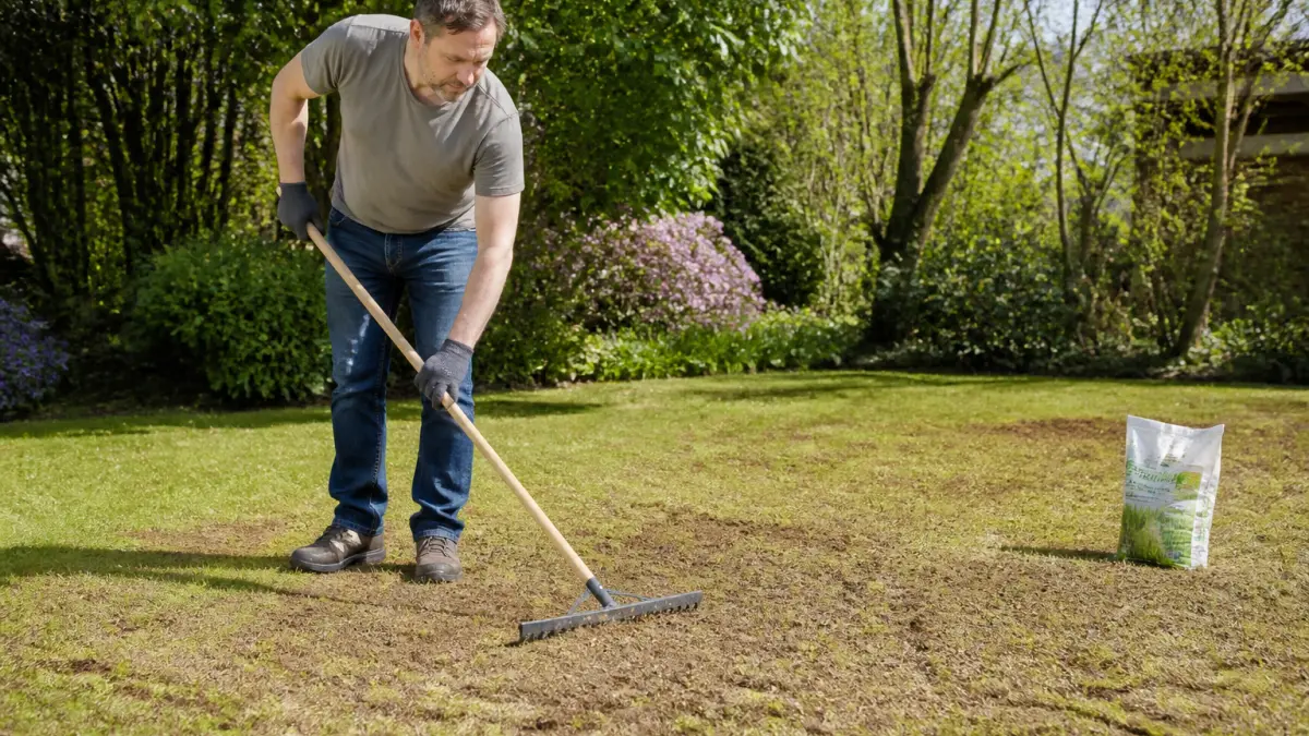 Que faire après avoir scarifié sa pelouse pour éviter les trous ?