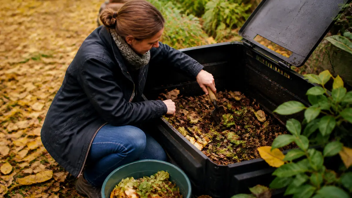Feuilles mortes au compost : bonnes pratiques et erreurs à éviter