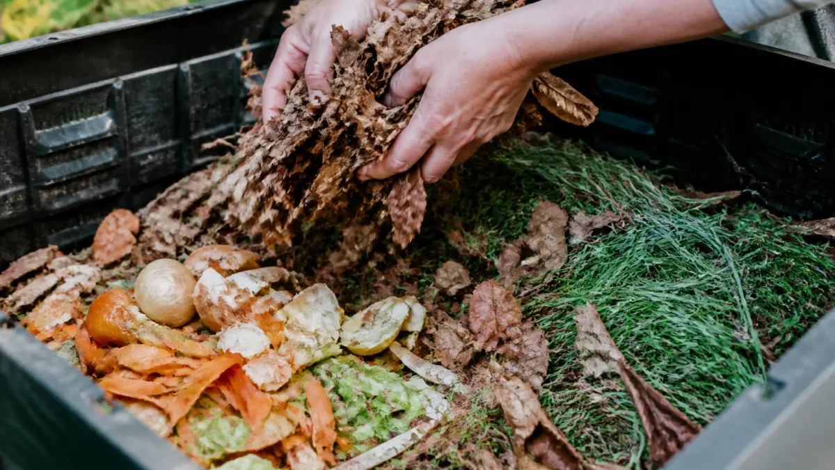 Feuilles mortes au compost : bonnes pratiques et erreurs à éviter