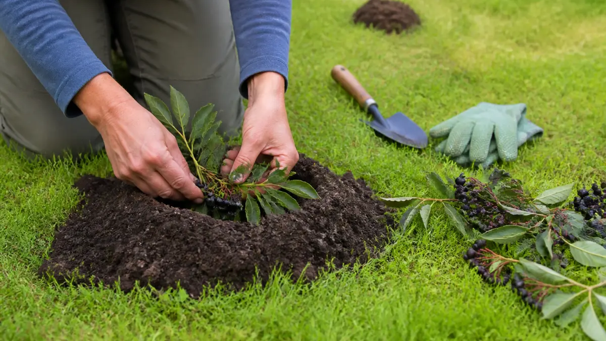 Taupes dans le jardin : les méthodes naturelles qui fonctionnent vraiment
