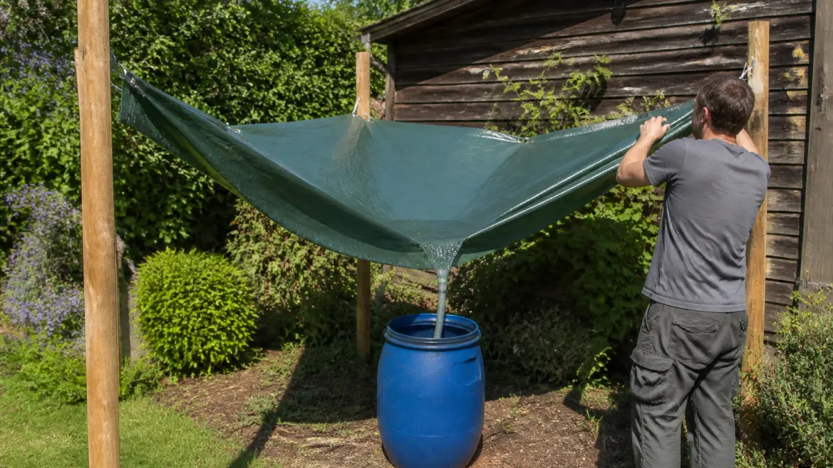 Récupérer l’eau de pluie sans gouttière : solutions possibles au jardin