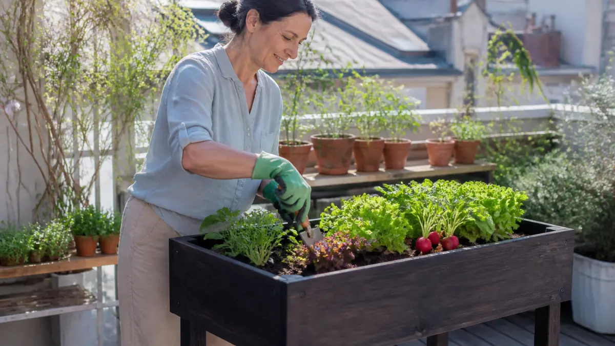 Potager sur pied : avantages, hauteur idéale et légumes adaptés