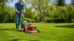 Tondre en mulching : quand le faire et quand ramasser l’herbe ?