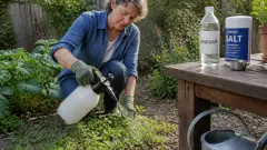 Désherbant naturel : la recette vraiment efficace sans abîmer le sol