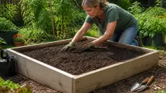 Carré potager : dimensions, emplacement et erreurs de débutant