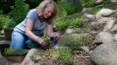 Jardin en pente : comment l’aménager sans gros travaux ?