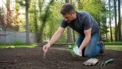 Gazon : quand semer pour obtenir une pelouse dense rapidement ?