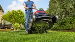 Mulching tondeuse : principe, avantages et erreurs à éviter