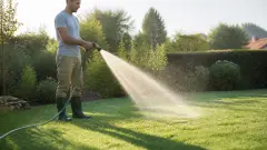 Arroser une pelouse : matin ou soir, quelle durée et quelle quantité ?