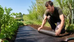 Toile de paillage : quand l’utiliser et quand l’éviter au jardin ?