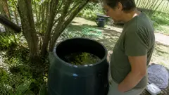 Larves de moustiques dans le récupérateur d'eau : comment les éliminer
