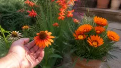 Fleur orange : 10 variétés pour un jardin éclatant