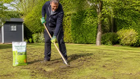 Que faire après avoir scarifié sa pelouse pour éviter les trous ?