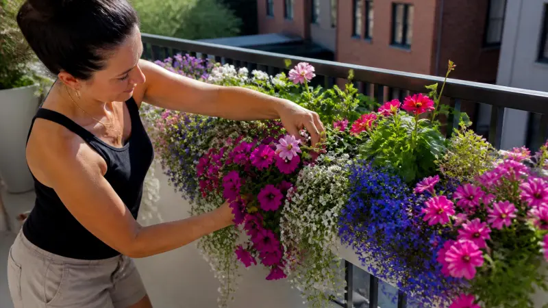 Plante retombante pour jardinière : les meilleures variétés faciles