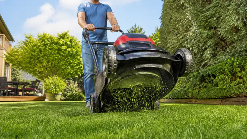 Mulching tondeuse : principe, avantages et erreurs à éviter