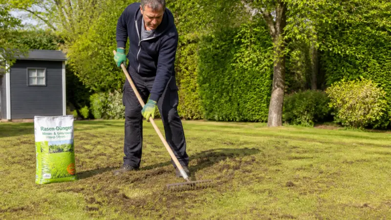 Que faire après avoir scarifié sa pelouse pour éviter les trous ?